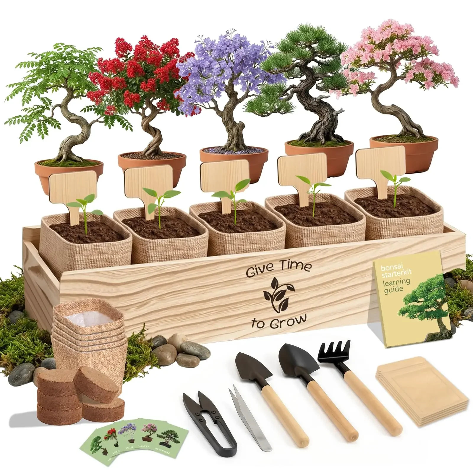 Bonsai Tree Starter Kit For Adults Five Indoor Bonsai Trees With Gardening Tools DIY Growing Set Gift
Bonsai Tree Starter Kit For Adults Five Indoor Bonsai Trees With Gardening Tools DIY Growing Set Gift