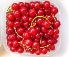 JX цифровой мини-сервопривод с высоким крутящим моментом 11 кг PDI-HV2010MG 8,4 В бессердечный двигатель для радиоуправляемого вертолета, робота-манипулятора
JX цифровой мини-сервопривод с высоким крутящим моментом 11 кг PDI-HV2010MG 8,4 В бессердечный двигатель для радиоуправляемого вертолета, робота-манипулятора