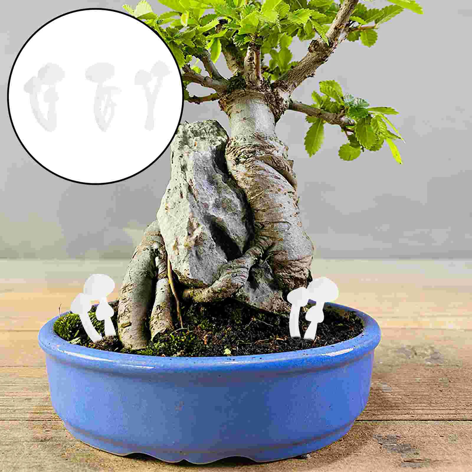 9 Pcs Filler 3D Mini Mushroom Model Mother Mushrooms Landscaping Miniature Mushroms
9 Pcs Filler 3D Mini Mushroom Model Mother Mushrooms Landscaping Miniature Mushroms