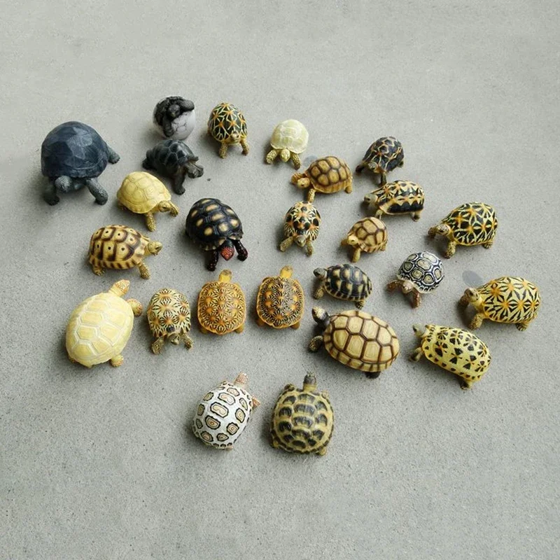 Tortoise Animal Figure Testudinidae Mini Size Model Box Turtle Desk Decoration Astrochelys Radiata Ornaments Geochelone Sulcata
Tortoise Animal Figure Testudinidae Mini Size Model Box Turtle Desk Decoration Astrochelys Radiata Ornaments Geochelone Sulcata