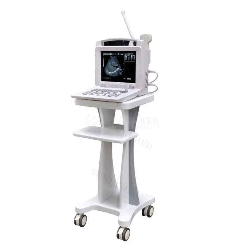 SY-A005 Популярный портативный ультразвуковой сканер для ноутбука Ветеринарный ультразвуковой сканер для клинического решения
SY-A005 Популярный портативный ультразвуковой сканер для ноутбука Ветеринарный ультразвуковой сканер для клинического решения