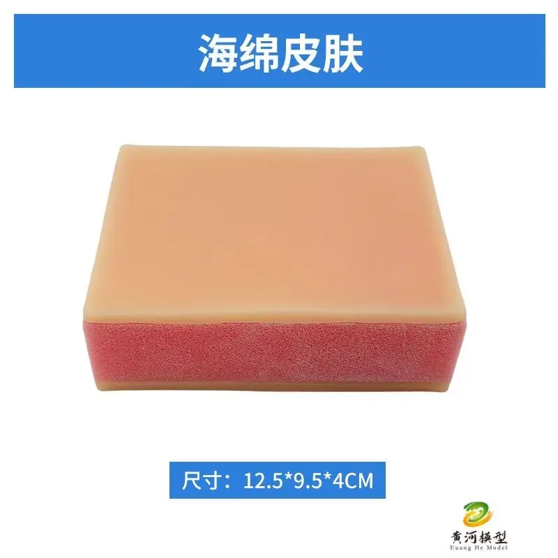 Simulated Skin Suture Module Surgical Muscle Incision Suture Skills Practice Medical Human Injection Module
Simulated Skin Suture Module Surgical Muscle Incision Suture Skills Practice Medical Human Injection Module