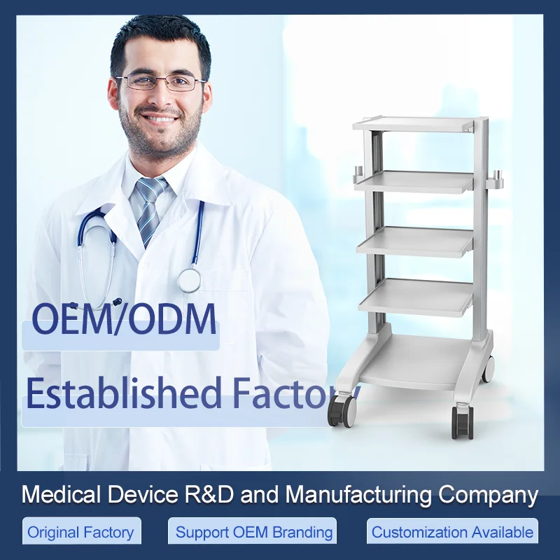 Modern Industrial 4K Endoscopy Notebook Cart Hospital Trolley Steel Metal Aluminium Medical Devices Support Workstation Wheels
Modern Industrial 4K Endoscopy Notebook Cart Hospital Trolley Steel Metal Aluminium Medical Devices Support Workstation Wheels
