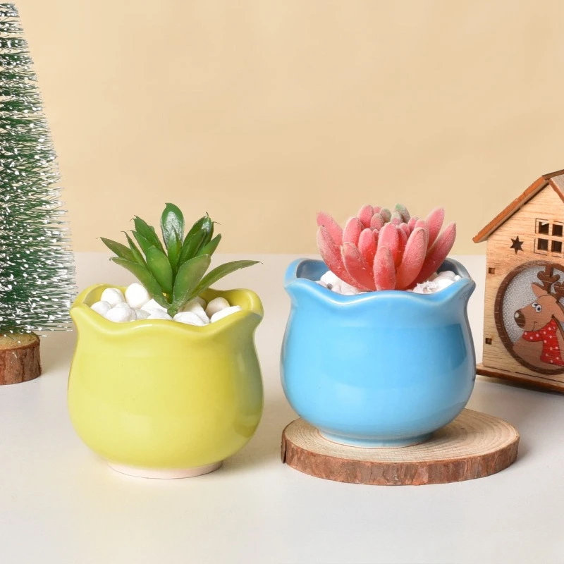 Succulent Flower Pot Ceramic Creative Macaron Combination Thumb Meat Green Plant Pot Desktop Potted Cactus
Succulent Flower Pot Ceramic Creative Macaron Combination Thumb Meat Green Plant Pot Desktop Potted Cactus