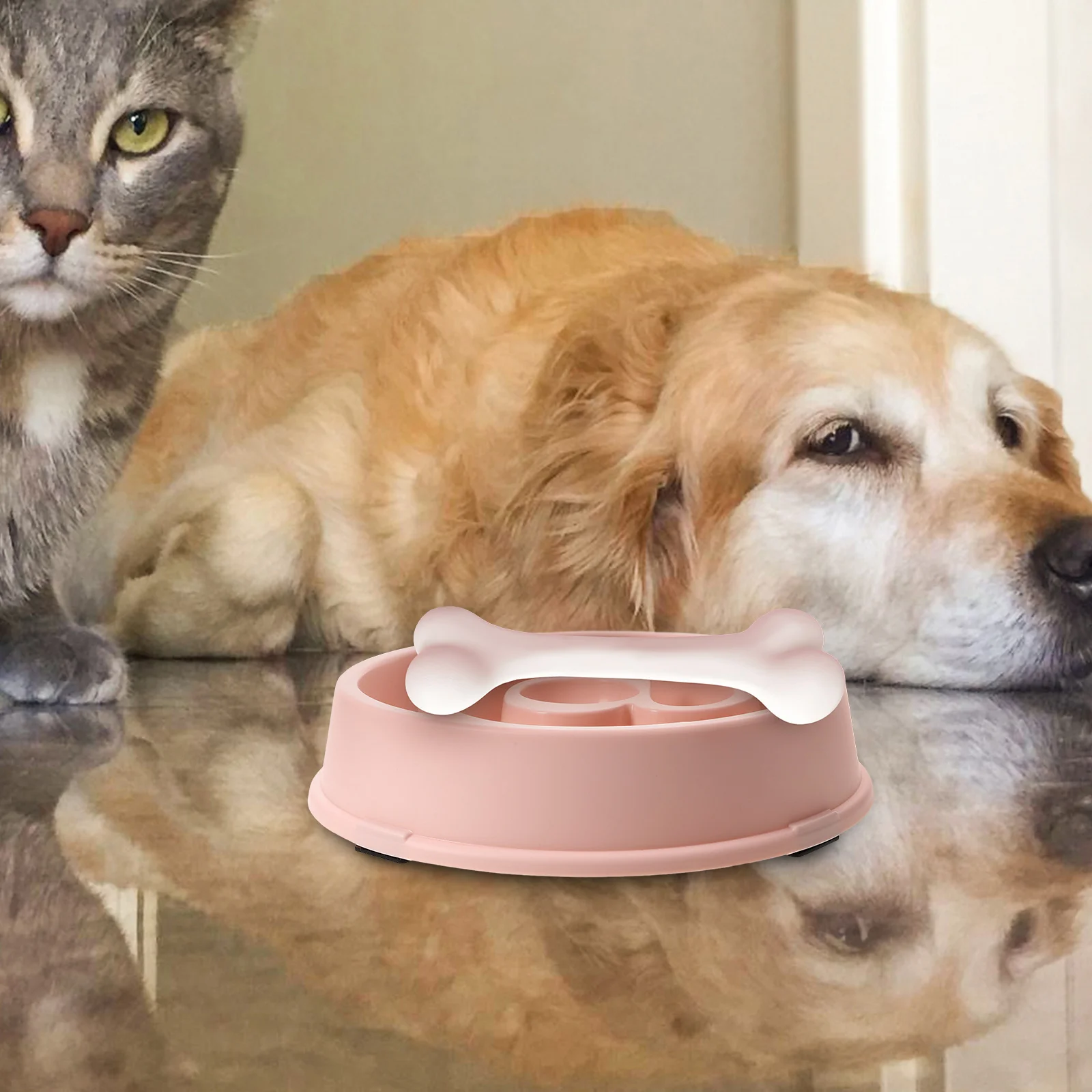 Slow Food Bowl Dog Feeder Anti-choking Cat Dish Slow Eating High Quality Material Lightweight Travel Non-slip Easy
Slow Food Bowl Dog Feeder Anti-choking Cat Dish Slow Eating High Quality Material Lightweight Travel Non-slip Easy