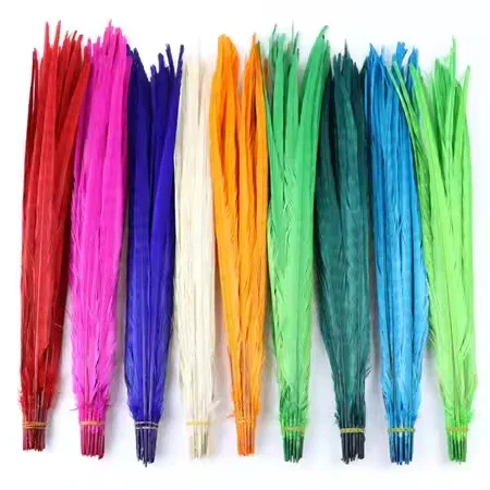 50/100Pcs Dyed Natural Ringneck Pheasant Tail Feathers Wholesale Colored Feathers for Crafts Carnival Party DIY Decorations
50/100Pcs Dyed Natural Ringneck Pheasant Tail Feathers Wholesale Colored Feathers for Crafts Carnival Party DIY Decorations