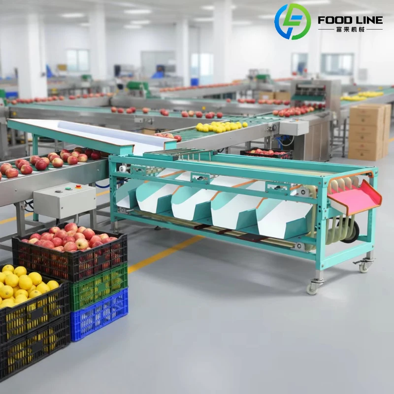 Customized Hot Sale Fully Automatic Fruit Weight Grading Sorting Machine
Customized Hot Sale Fully Automatic Fruit Weight Grading Sorting Machine