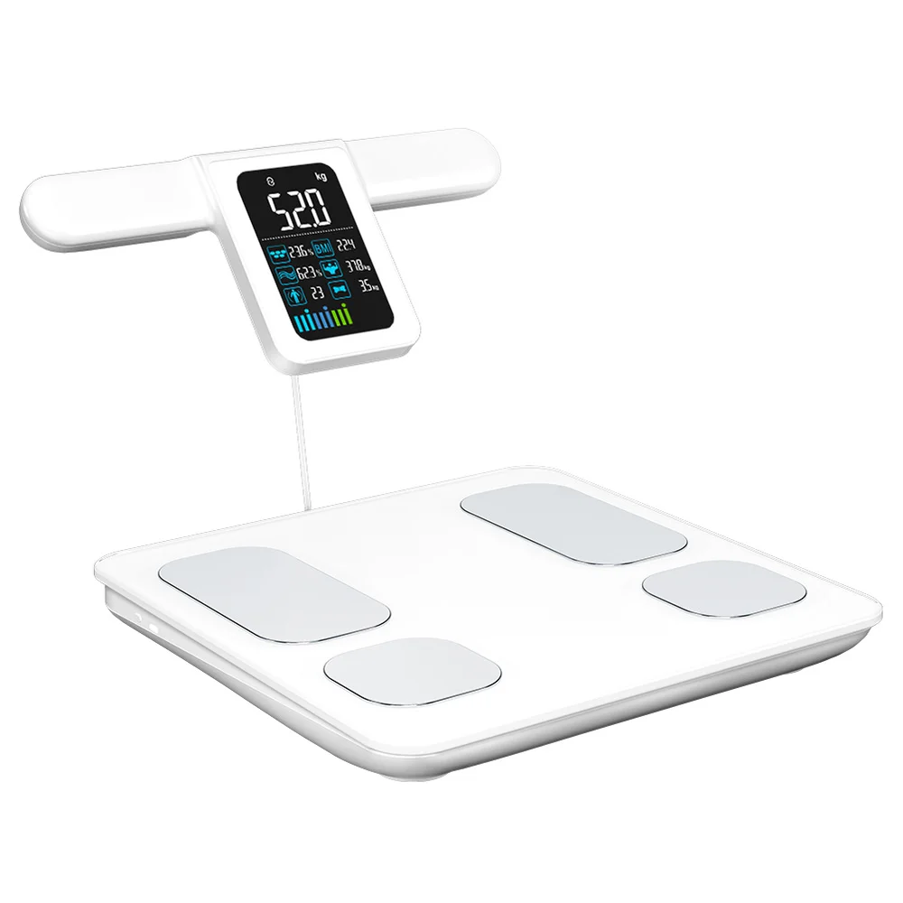 Popular Digital Weight Scale Smart Body Fat Analyzer Scale
Popular Digital Weight Scale Smart Body Fat Analyzer Scale