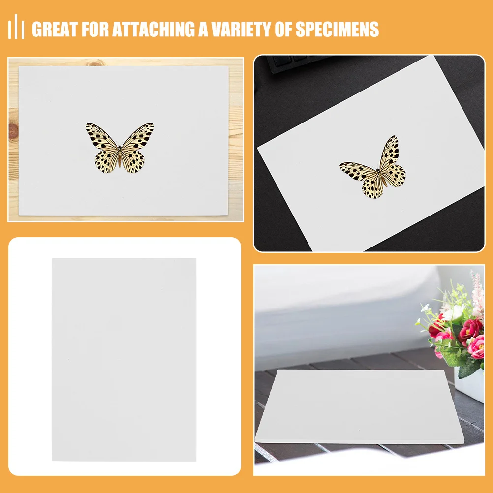 For Entomology Display Specimen Poster Butterfly Specimen Butterfly Wing Entomology Pinning Board Board Tool Part
For Entomology Display Specimen Poster Butterfly Specimen Butterfly Wing Entomology Pinning Board Board Tool Part