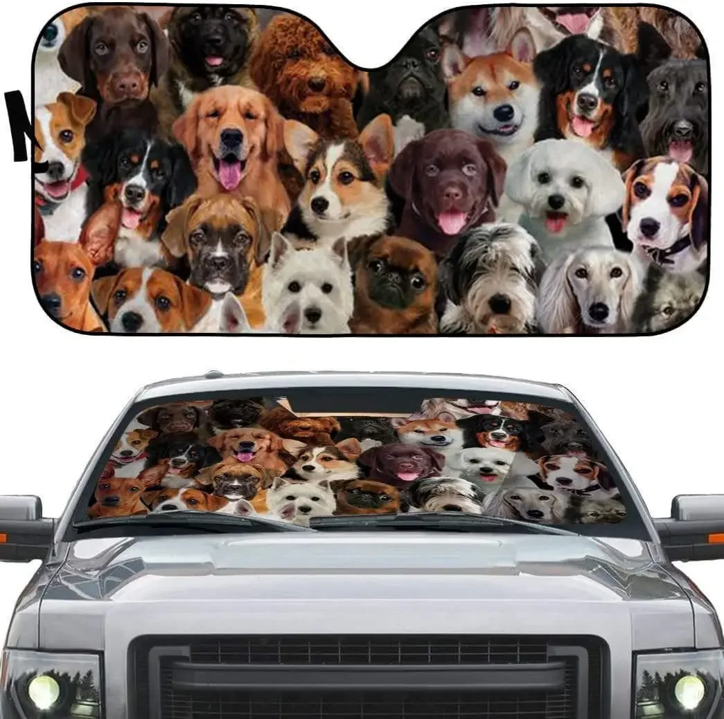 Автомобильный солнцезащитный козырек A Bunch of Dogs для владельца собак, автоматический солнцезащитный козырек для собак, козырек на лобовое стекло для любителей собак, солнцезащитный козырек от УФ-лучей, Car Win
Автомобильный солнцезащитный козырек A Bunch of Dogs для владельца собак, автоматический солнцезащитный козырек для собак, козырек на лобовое стекло для любителей собак, солнцезащитный козырек от УФ-лучей, Car Win