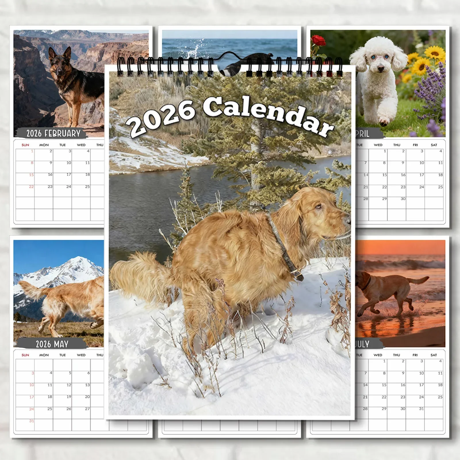1PC 2026 Stunning Snow Leopard Wildlife Wall Calendar For Nature Lovers & Wildlife Enthusiasts,Perfect for Home Decor
1PC 2026 Stunning Snow Leopard Wildlife Wall Calendar For Nature Lovers & Wildlife Enthusiasts,Perfect for Home Decor