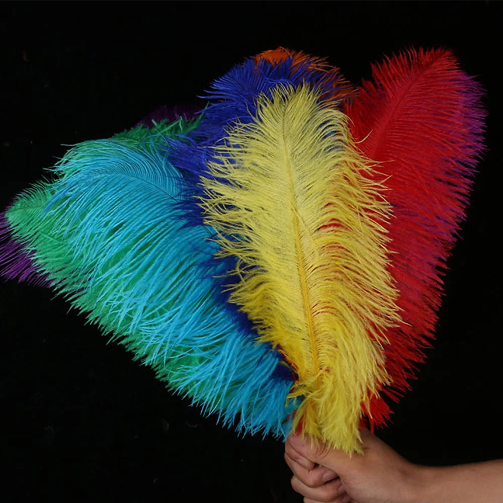 10Pcs 35-40cm Ostrich Feathers for Home Carnival Wedding Decoration Table Centerpieces Vases Plume Decorations DIY Handcraft
10Pcs 35-40cm Ostrich Feathers for Home Carnival Wedding Decoration Table Centerpieces Vases Plume Decorations DIY Handcraft
