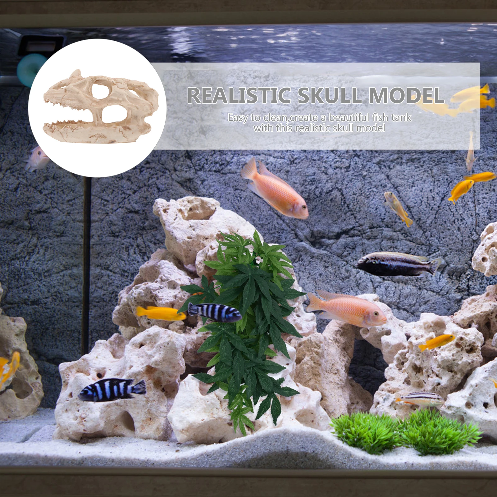 Dinosaur Skull Fish Tank Decor Resin Hideout nament Creative Aquarium L scaping Decoration Underwater Craft Lifelike Model
Dinosaur Skull Fish Tank Decor Resin Hideout nament Creative Aquarium L scaping Decoration Underwater Craft Lifelike Model