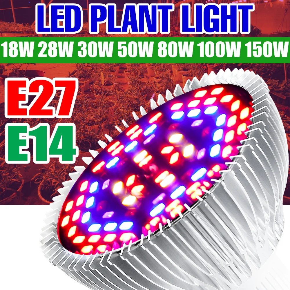 Светодиодная лампа для растений 150 Вт, E27/E14, AC85-265V, полный спектр, для выращивания семян, 110 В, для внутреннего освещения цветов и овощей
Светодиодная лампа для растений 150 Вт, E27/E14, AC85-265V, полный спектр, для выращивания семян, 110 В, для внутреннего освещения цветов и овощей