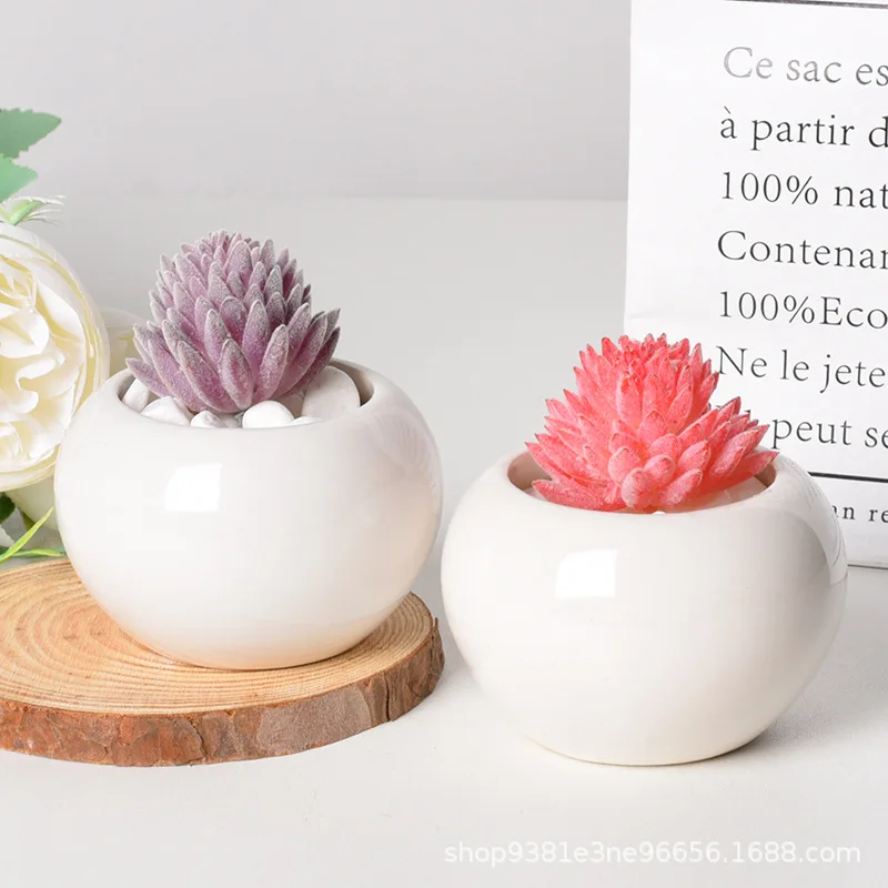 Simple Succulent Flower Pot Plant Potted Mini Round Ceramic Pot Home Decoration Green Plant Small Flower Pot
Simple Succulent Flower Pot Plant Potted Mini Round Ceramic Pot Home Decoration Green Plant Small Flower Pot