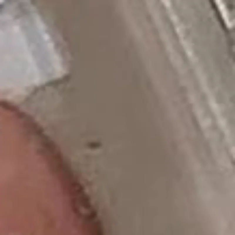 24 шт., магнитный дисплей для накладных ногтей, прозрачный натуральный цвет, карта-лак, гель-подставка, палитра для ногтей, маникюрный клей для ногтей, практика
24 шт., магнитный дисплей для накладных ногтей, прозрачный натуральный цвет, карта-лак, гель-подставка, палитра для ногтей, маникюрный клей для ногтей, практика