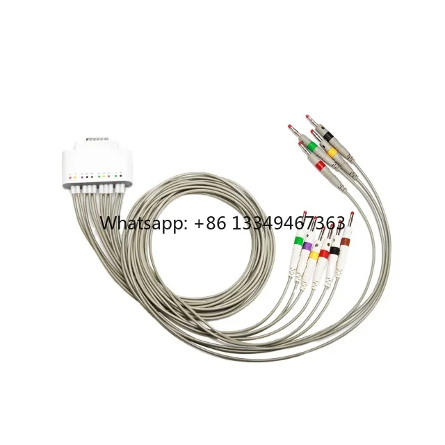 China Manufacturer Hot selling medical10-LEAD patient cable with different color
China Manufacturer Hot selling medical10-LEAD patient cable with different color