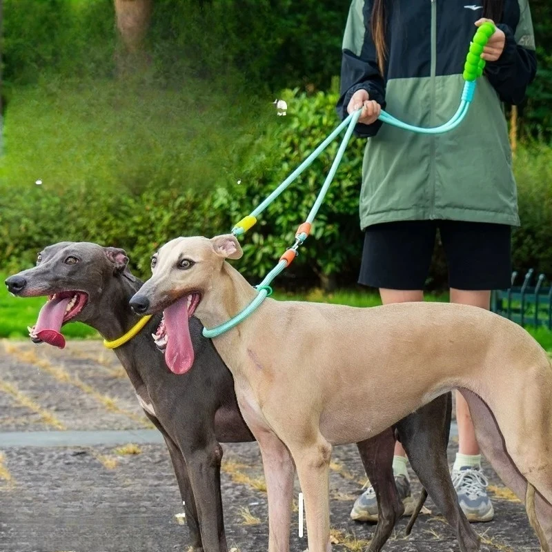 Medium and Large Dog Double Traction Rope, Anti-Explosion Adjustable Pet Collar Walking Leash P Rope
Medium and Large Dog Double Traction Rope, Anti-Explosion Adjustable Pet Collar Walking Leash P Rope