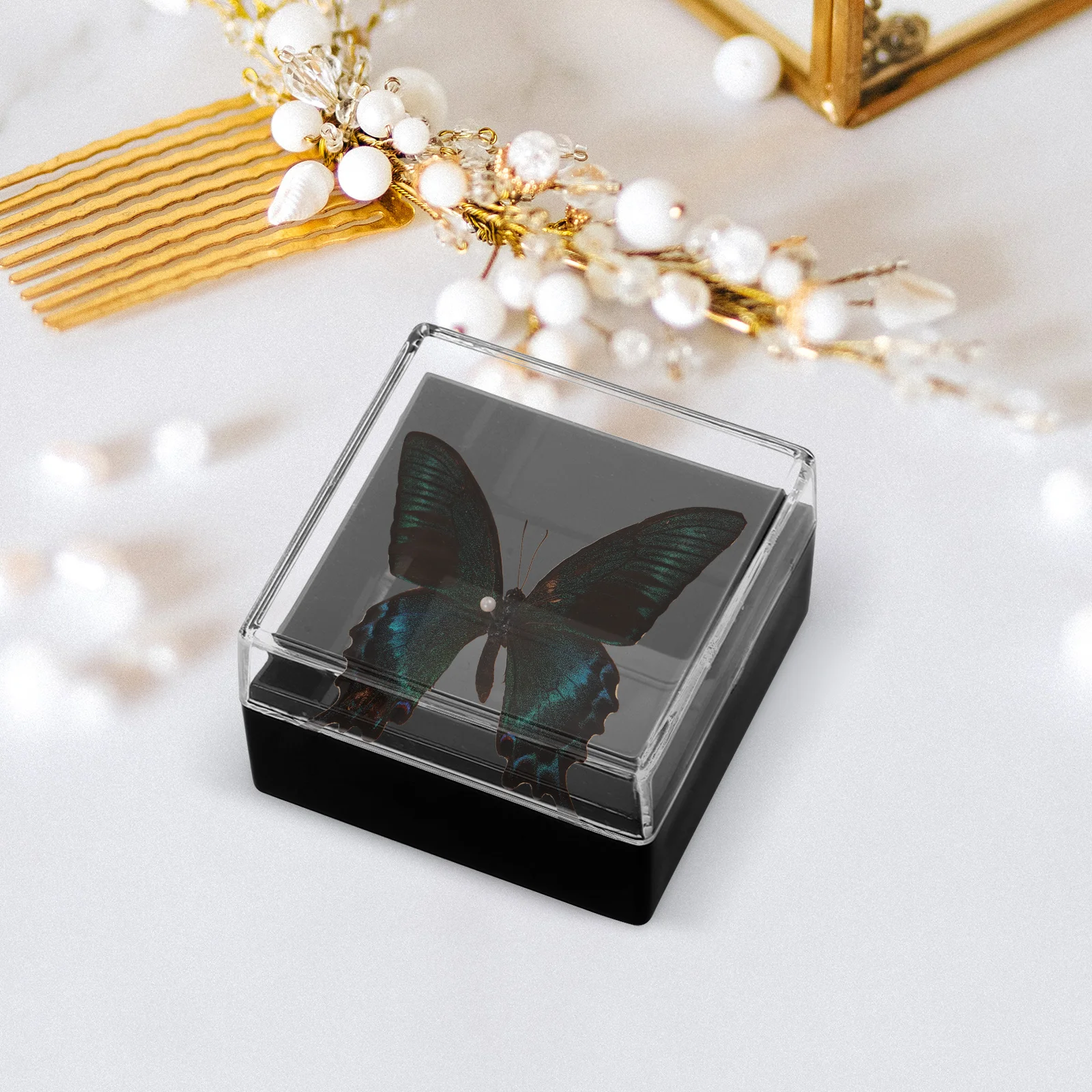 6pcs Specimen Display Box Mineral Storage Case Transparent Container for Gemstone Rock Specimens Desktop Collection Beads
6pcs Specimen Display Box Mineral Storage Case Transparent Container for Gemstone Rock Specimens Desktop Collection Beads
