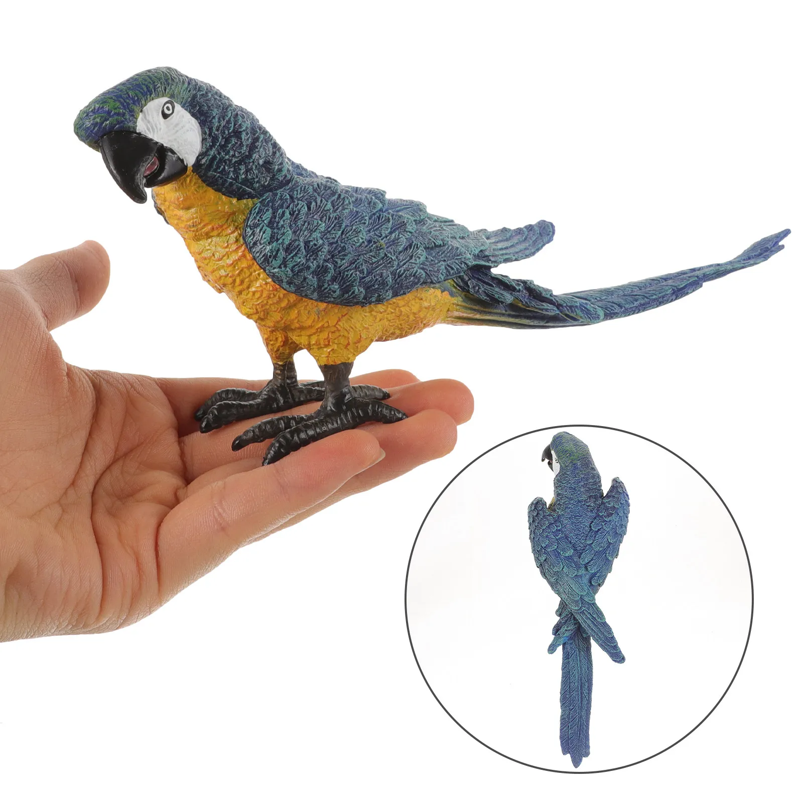 Premium Realistic Artificial Parrot Ornament Lifelike Garden Decoration Outdoor Yard Balcony Scene Layout Prop Birds Home Decor
Premium Realistic Artificial Parrot Ornament Lifelike Garden Decoration Outdoor Yard Balcony Scene Layout Prop Birds Home Decor