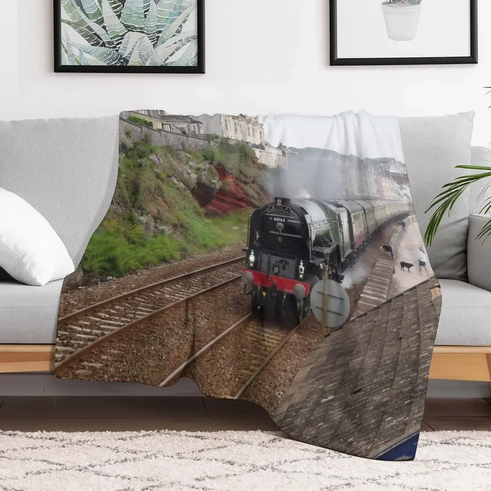 British Railways 60163 Tornado at Dawlish Throw Blanket Baby Decorative Sofa Blankets
British Railways 60163 Tornado at Dawlish Throw Blanket Baby Decorative Sofa Blankets