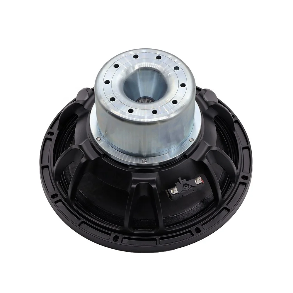 12" Neodymium Subwoofer - 2600W Professional Bass Speaker for Car Audio, Clubs & Parties
12" Neodymium Subwoofer - 2600W Professional Bass Speaker for Car Audio, Clubs & Parties
