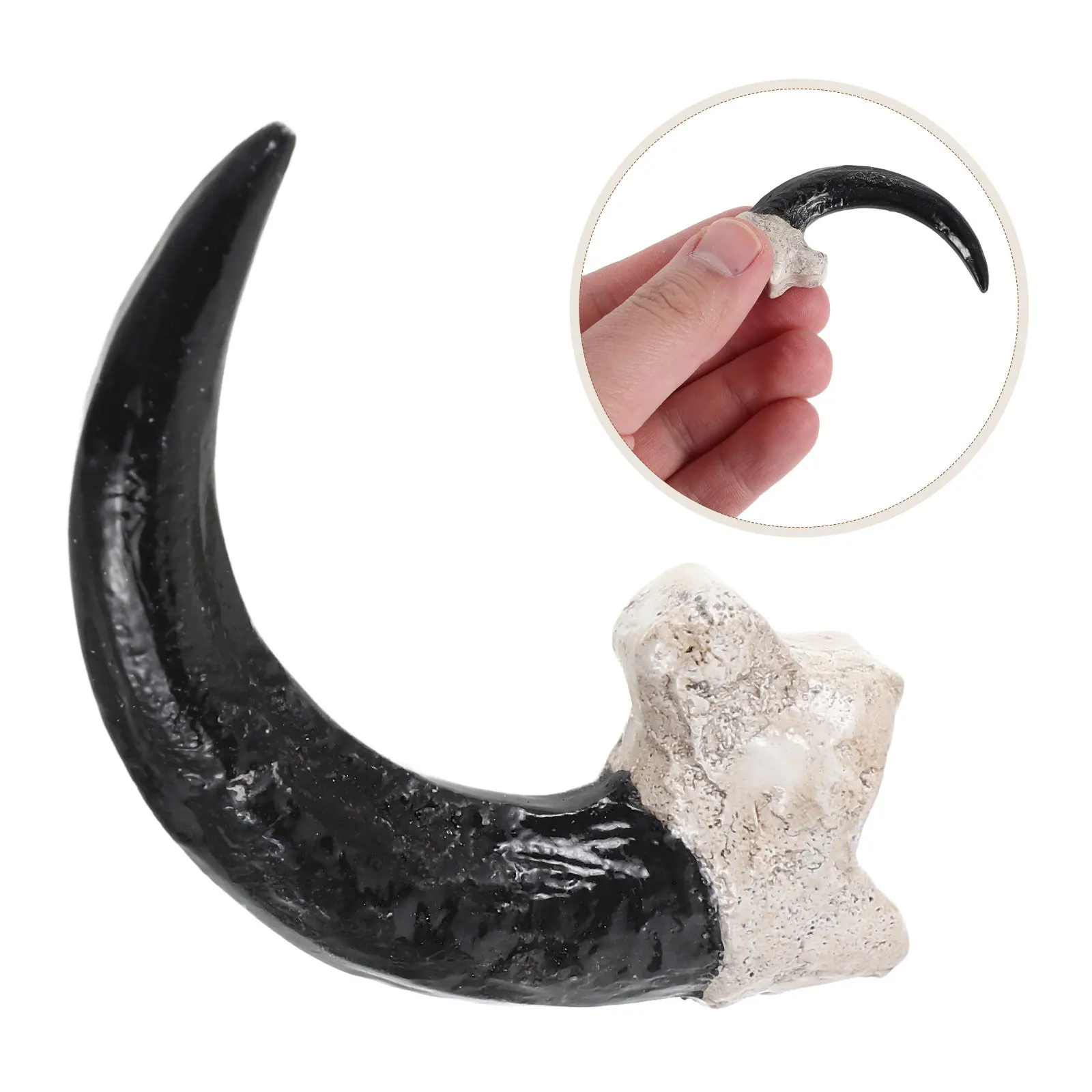 Vulture Claw Bone Skeletal Display Natural Animal Specimen Anatomy Educational Decor Museum Style Home Office Shelf
Vulture Claw Bone Skeletal Display Natural Animal Specimen Anatomy Educational Decor Museum Style Home Office Shelf