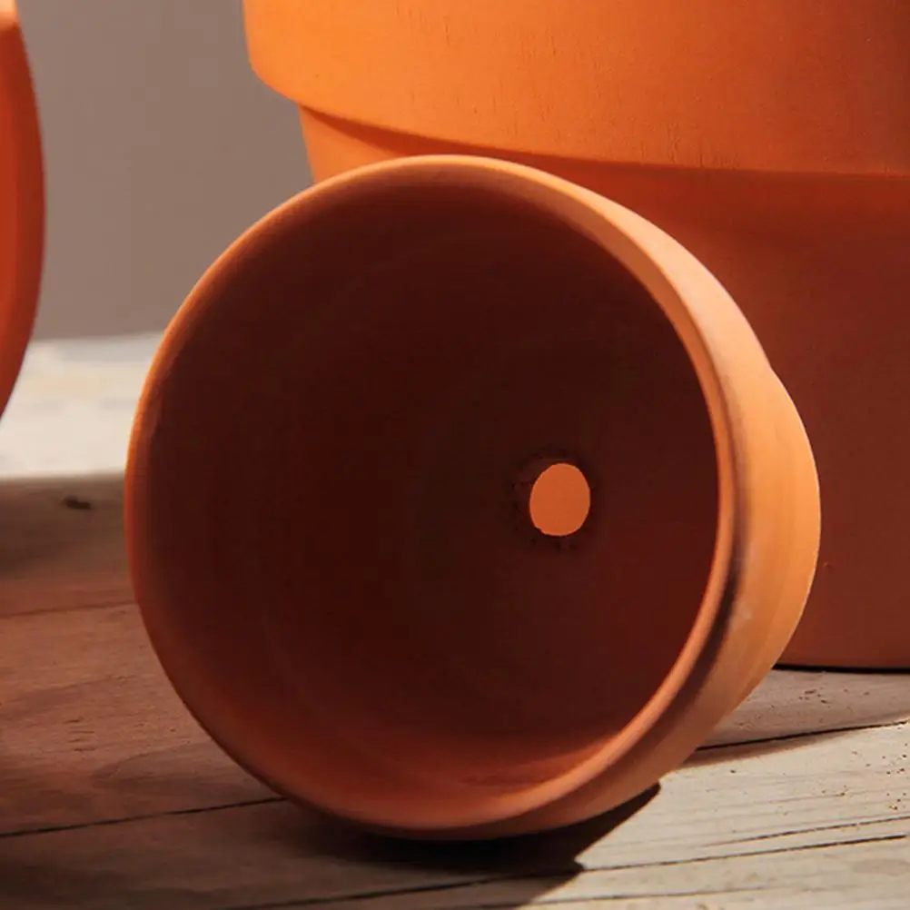 Cactus Succulent Flower Pot Indoor Plant Pots Pottery Plants Ceramic Basin Small Terracotta
Cactus Succulent Flower Pot Indoor Plant Pots Pottery Plants Ceramic Basin Small Terracotta