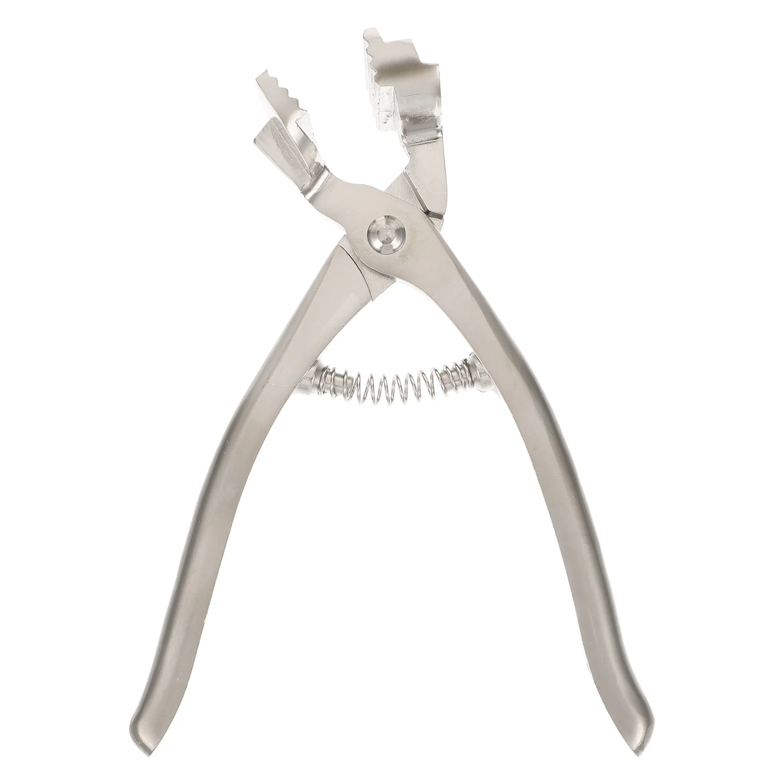 Oil Painting Clip Canvas Supplies Stainless Steel Clamps for Stretching Framing Clips Paintings Protector Smooth Surface
Oil Painting Clip Canvas Supplies Stainless Steel Clamps for Stretching Framing Clips Paintings Protector Smooth Surface