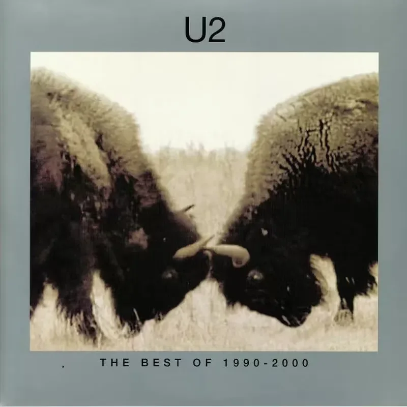 U2 1990-2000 Featured Remastered Methodist Vinyl Records for U2
U2 1990-2000 Featured Remastered Methodist Vinyl Records for U2