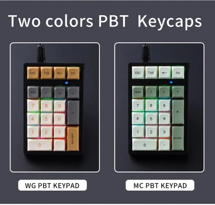 APAYADO T21 21-Key Wired Mechanical Number Pad RGB Backlit for Treasury / Accounting / Finance
APAYADO T21 21-Key Wired Mechanical Number Pad RGB Backlit for Treasury / Accounting / Finance