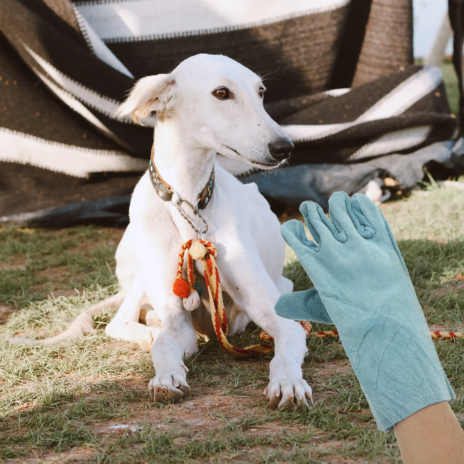 1Pair Cowhide Pet Anti Bite Gloves Thickened Protective Gloves Dog Training Scratch Proof Hand Cover for Playing Feeding
1Pair Cowhide Pet Anti Bite Gloves Thickened Protective Gloves Dog Training Scratch Proof Hand Cover for Playing Feeding