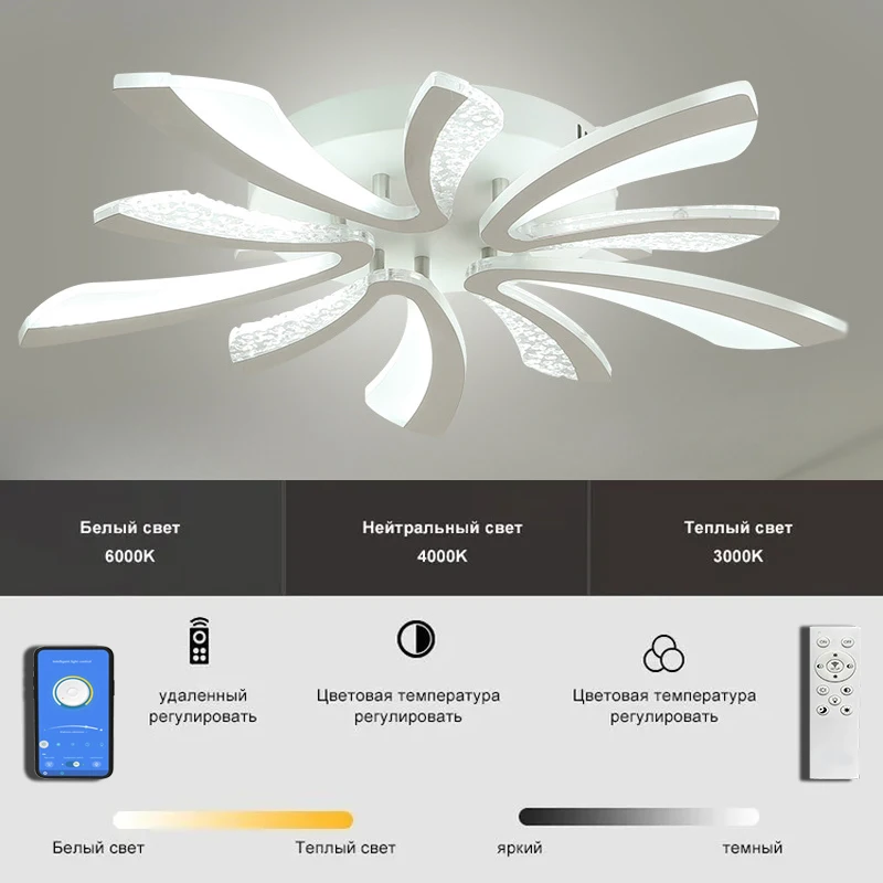 Modern Nordic acrylic LED light remote control smart chandelier bedroom living room lighting decorative
Modern Nordic acrylic LED light remote control smart chandelier bedroom living room lighting decorative