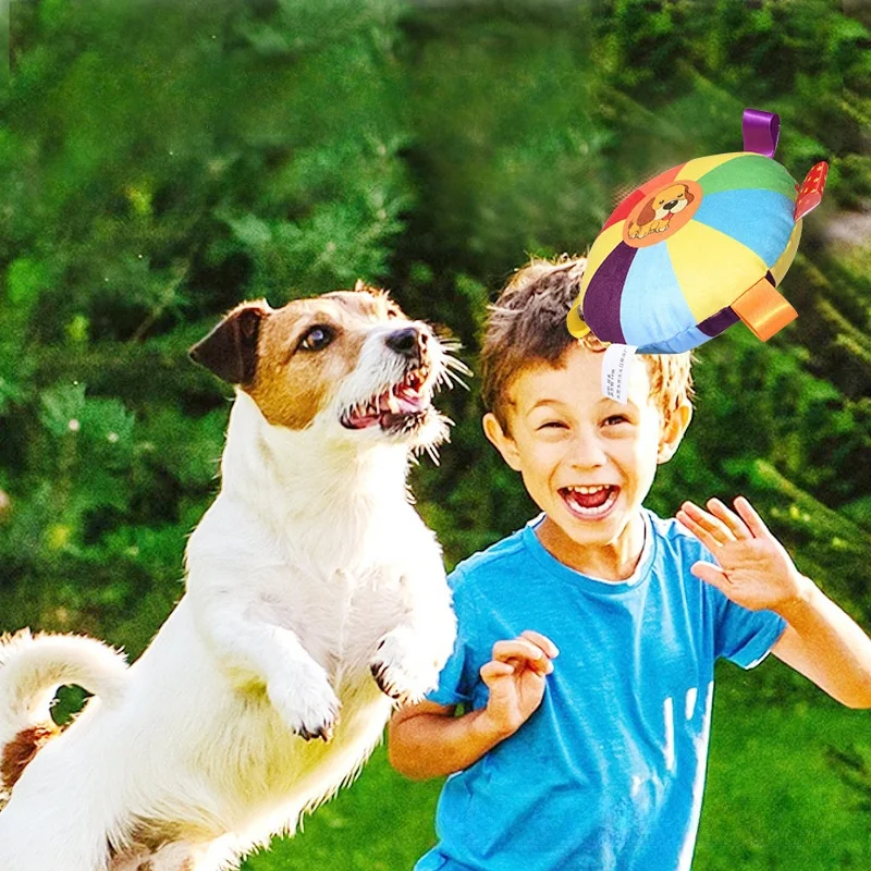 Dog Toys Flying Saucer Interactive Outdoor Sports Training Games Resistant Chew Puppy Flying Discs Toys Soft Flying Saucer
Dog Toys Flying Saucer Interactive Outdoor Sports Training Games Resistant Chew Puppy Flying Discs Toys Soft Flying Saucer