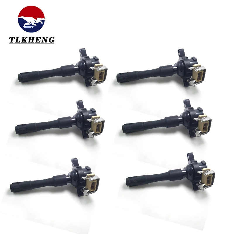 12131748018 6PCS New lgnition Coil For BMW E46 E36 E39 E38 Z3 X5 E53 320i 323i 325i 328i M3 525i 528i 740iL 750iL 2503804
12131748018 6PCS New lgnition Coil For BMW E46 E36 E39 E38 Z3 X5 E53 320i 323i 325i 328i M3 525i 528i 740iL 750iL 2503804