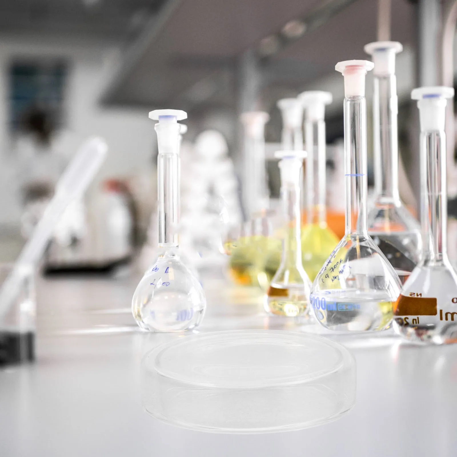 6Pcs High Borosilicate Culture Dishes Glass Petri Plates Reusable Lab Cell Tissue Scientific Agar Plates Petri Dish
6Pcs High Borosilicate Culture Dishes Glass Petri Plates Reusable Lab Cell Tissue Scientific Agar Plates Petri Dish