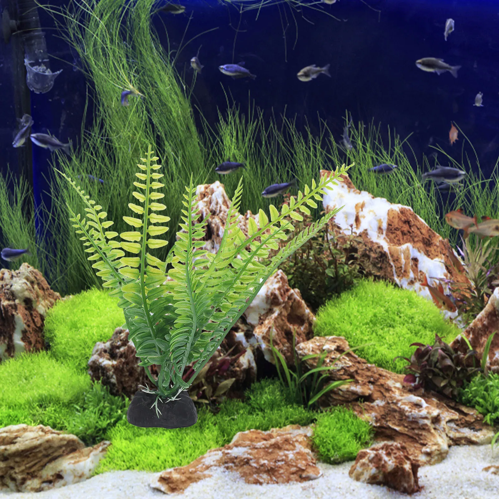 12 Pcs Faux Greenery Aquatic Decoration Plant Aquarium Artificial Plastic Plants Replaceable Small
12 Pcs Faux Greenery Aquatic Decoration Plant Aquarium Artificial Plastic Plants Replaceable Small
