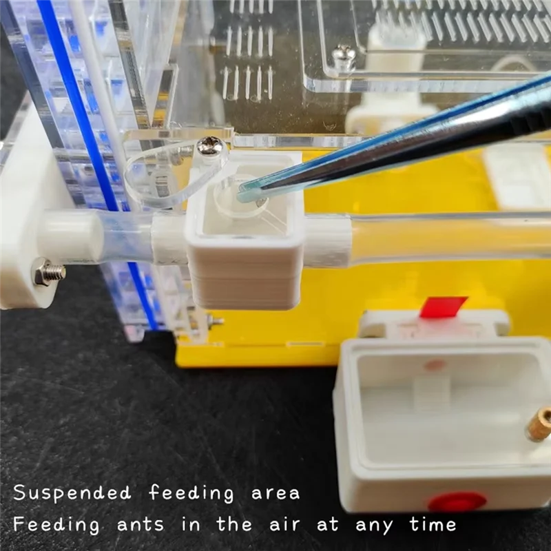 ABWZ-T Design DIY Ant Farm With Feeding Area Acryl Ant Nest Insect Ant House Villa Anthill Pet Workshop For House Ant Hotel
ABWZ-T Design DIY Ant Farm With Feeding Area Acryl Ant Nest Insect Ant House Villa Anthill Pet Workshop For House Ant Hotel