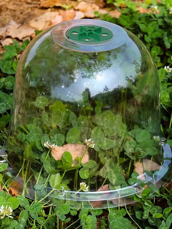 Купол для растений, 10 шт., купол для размножения, садовый клаш, регулируемые прозрачные клапаны для растений, помогает вырасту растений, наблюдает за ростом
Купол для растений, 10 шт., купол для размножения, садовый клаш, регулируемые прозрачные клапаны для растений, помогает вырасту растений, наблюдает за ростом