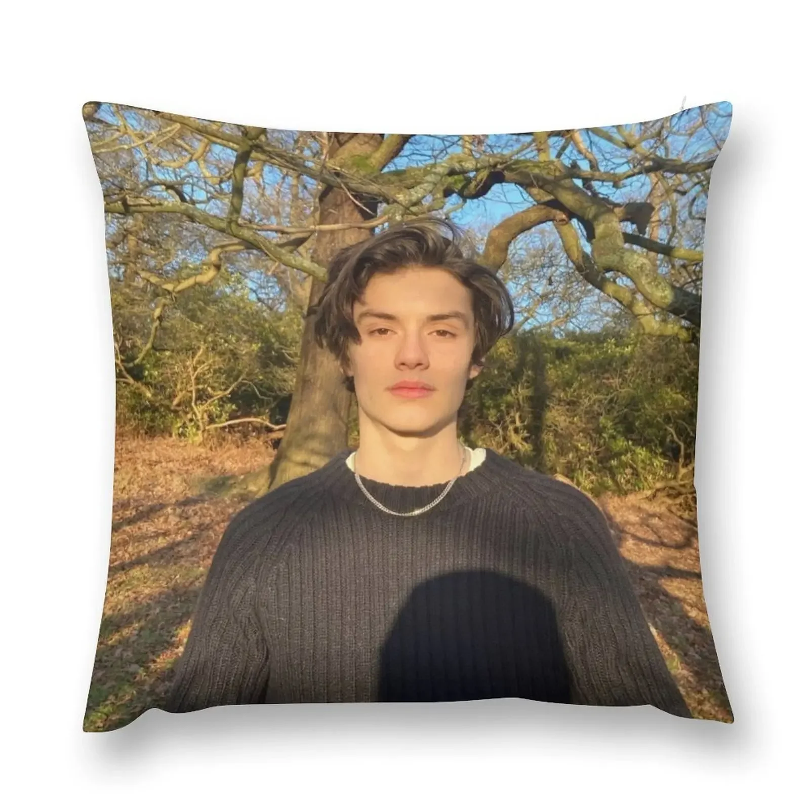 Louis Partridge Throw Pillow ornamental pillows Decorative Cushions For Luxury Sofa anime girl autumn decoration pillow
Louis Partridge Throw Pillow ornamental pillows Decorative Cushions For Luxury Sofa anime girl autumn decoration pillow