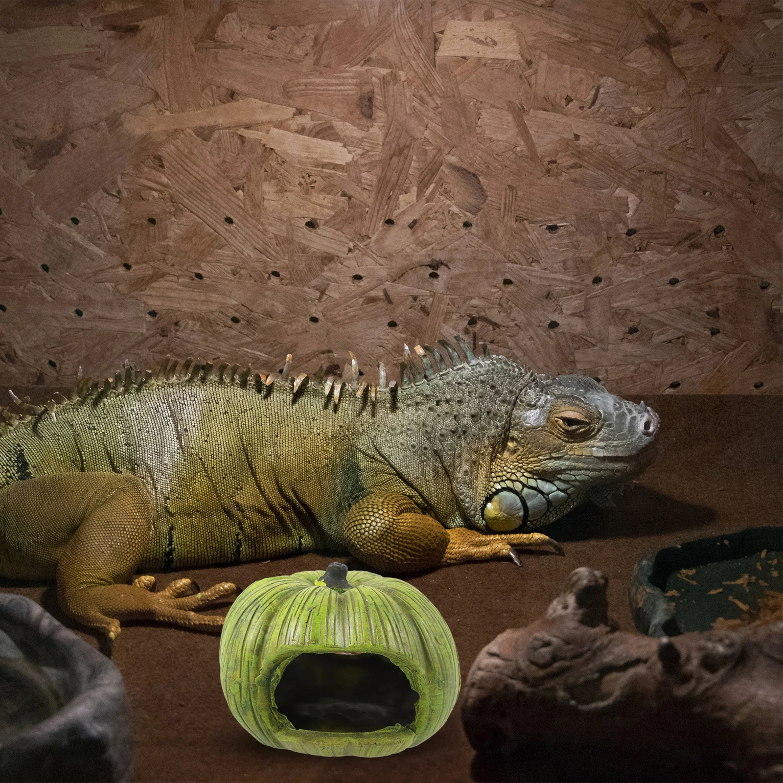 Pumpkin Cave Small Reptile Hideout Habitat Aquariums Lizard Place Gecko Tank Decorations Rainforest Scorpion
Pumpkin Cave Small Reptile Hideout Habitat Aquariums Lizard Place Gecko Tank Decorations Rainforest Scorpion