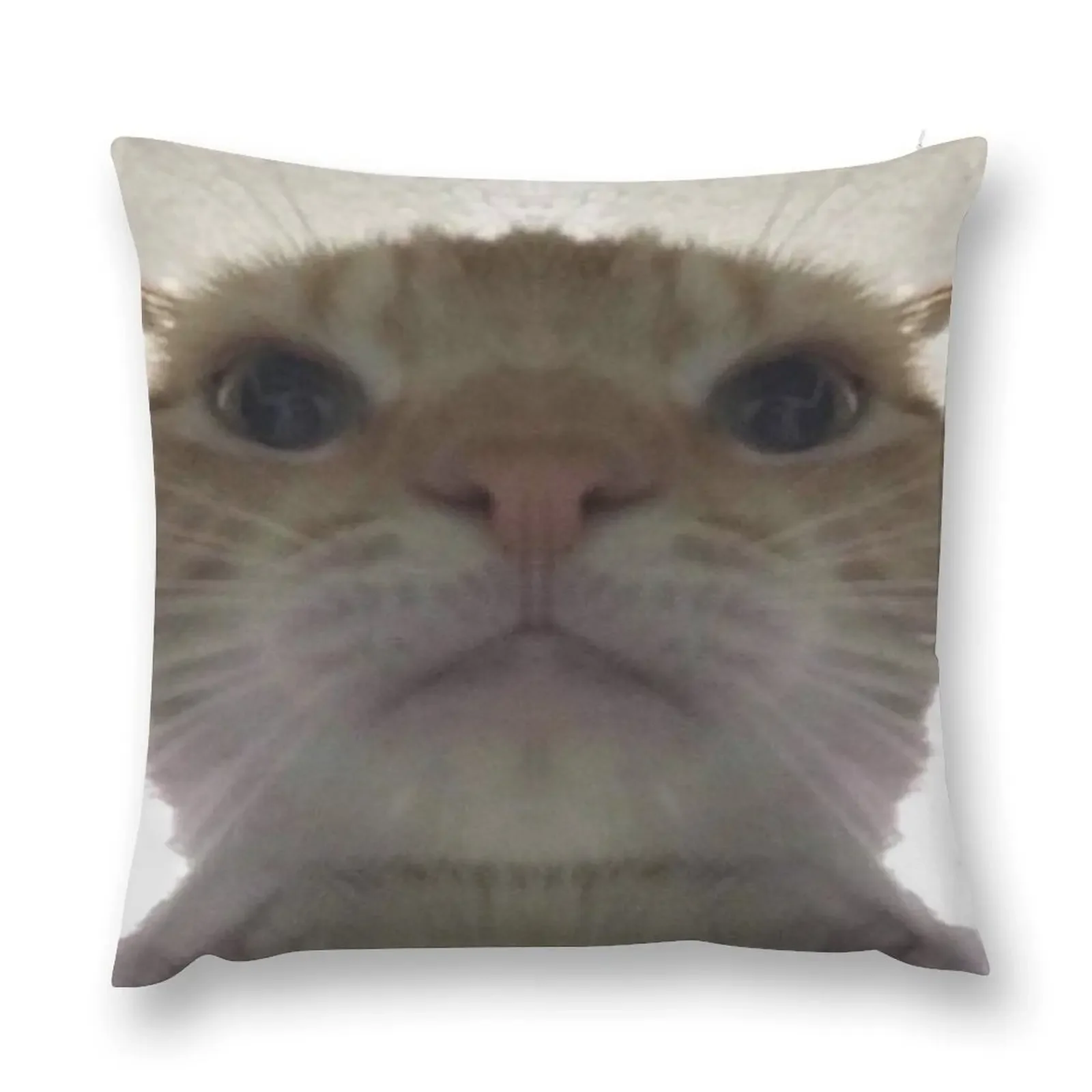 Selfie Cat Throw Pillow Pillow Cases Decorative autumn pillowcase Cushions pillow
Selfie Cat Throw Pillow Pillow Cases Decorative autumn pillowcase Cushions pillow