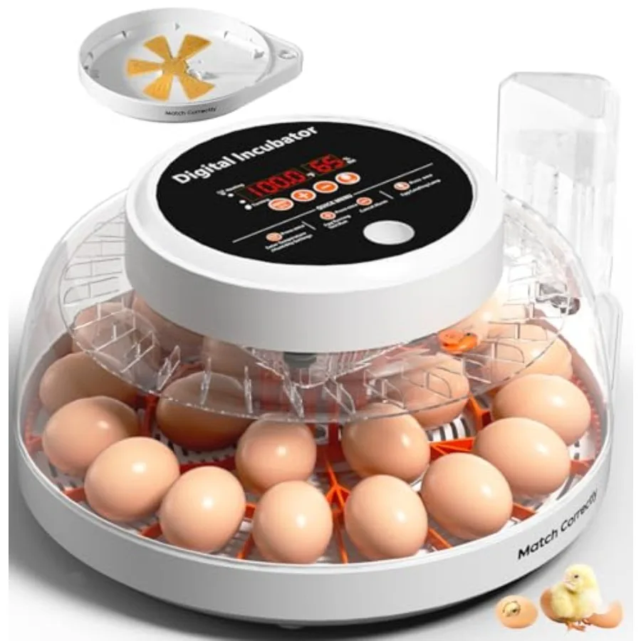 Upgraded Egg Incubators for Hatching Egg Incubator with Automatic Egg Turning Temperature Control and Humidity Display LED Cand
Upgraded Egg Incubators for Hatching Egg Incubator with Automatic Egg Turning Temperature Control and Humidity Display LED Cand