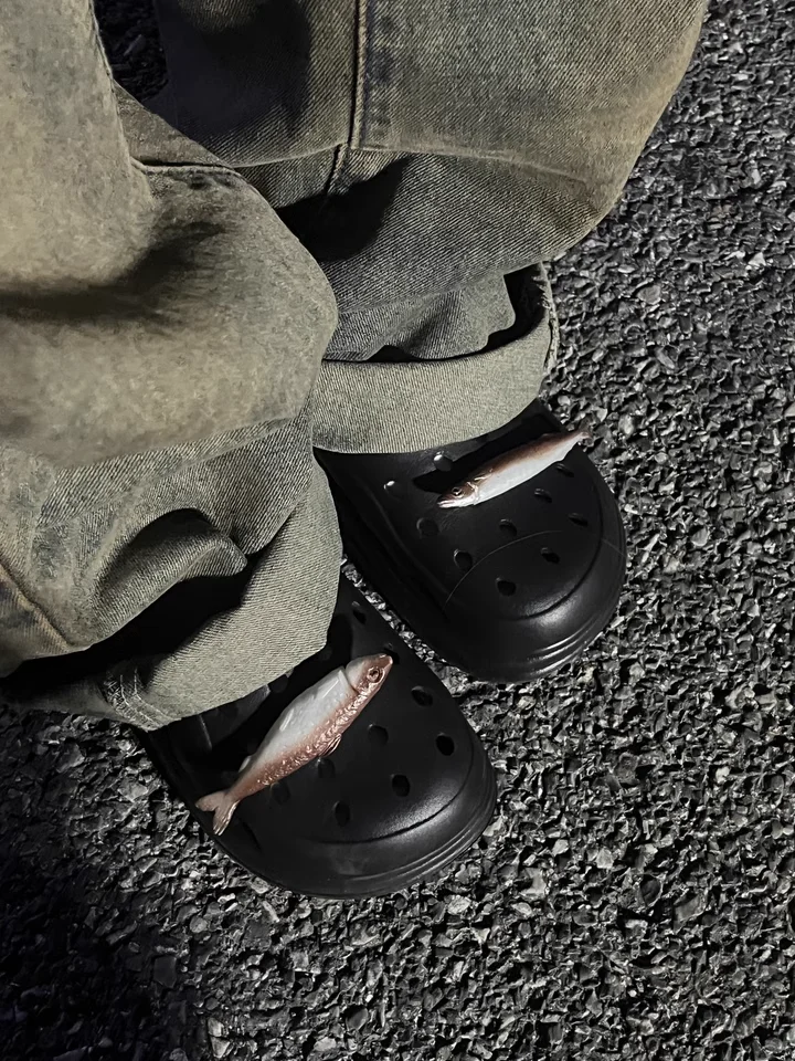 Abstract Clog oe Bule Simulation Almond Kernal DIY Decoration Bule Funny Fi Dry Fruit Seed Hole Hole oe Flower
Abstract Clog oe Bule Simulation Almond Kernal DIY Decoration Bule Funny Fi Dry Fruit Seed Hole Hole oe Flower