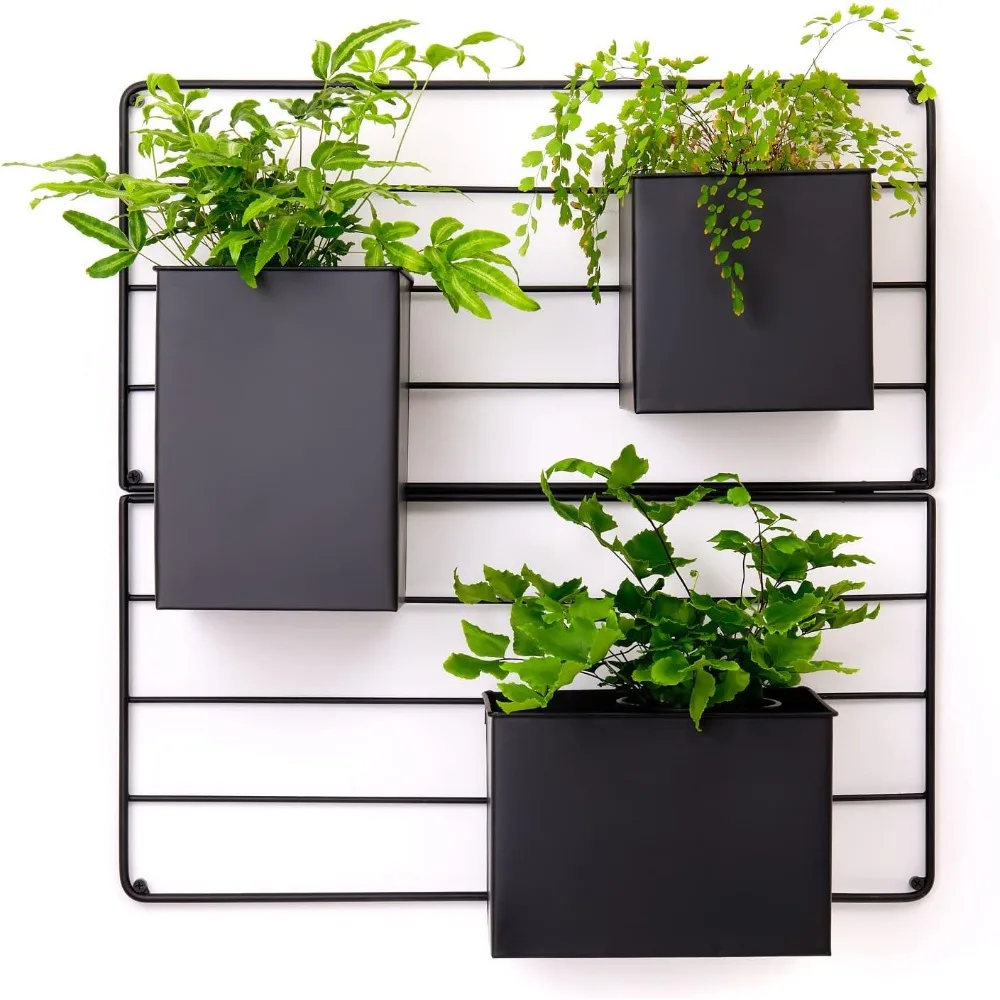 Vertical Garden Wall Planter. Wall Mounted for Indoor Outdoor. All Metal Black Vertical Planter with No Assembly Required
Vertical Garden Wall Planter. Wall Mounted for Indoor Outdoor. All Metal Black Vertical Planter with No Assembly Required