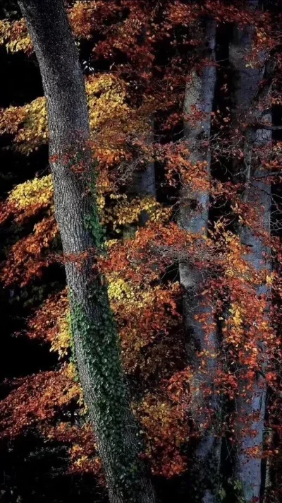 180ml Slave Skull Beer Wine Coffee Mug Cup Made Of Resin And Stainless Steel Halloween Mug Cup Decoration Ceramic Tiki Mug
180ml Slave Skull Beer Wine Coffee Mug Cup Made Of Resin And Stainless Steel Halloween Mug Cup Decoration Ceramic Tiki Mug