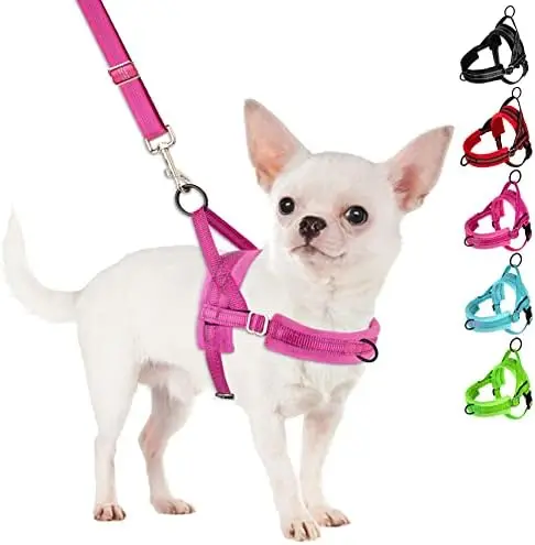 Adjustable harness for small dogs with reflective vest, perfect pet safety gear.
Adjustable harness for small dogs with reflective vest, perfect pet safety gear.