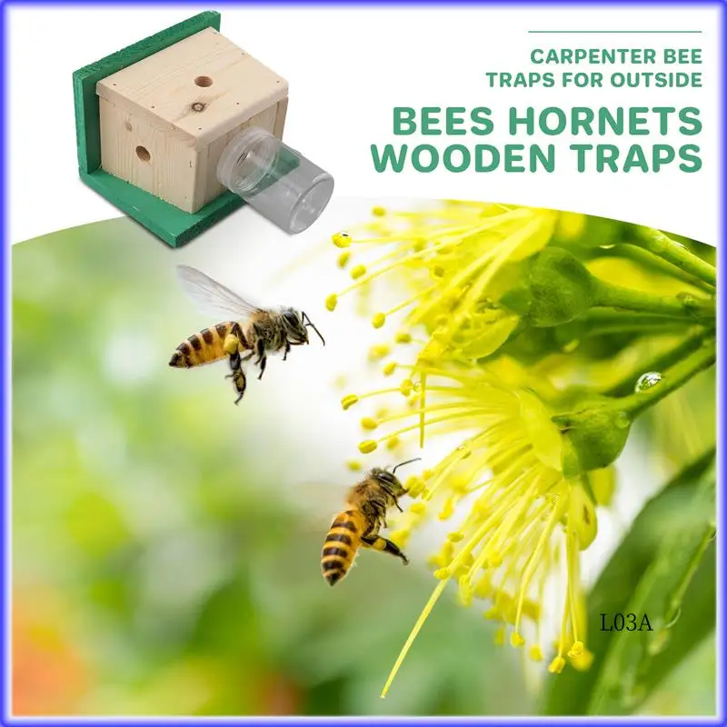 RM-Carpenter Bee Traps для улицы - плотниковая ловушка для пчел, деревянные ловушки для пчел, плотничьи ловушки для пчел для подвешивания на открытом воздухе
RM-Carpenter Bee Traps для улицы - плотниковая ловушка для пчел, деревянные ловушки для пчел, плотничьи ловушки для пчел для подвешивания на открытом воздухе