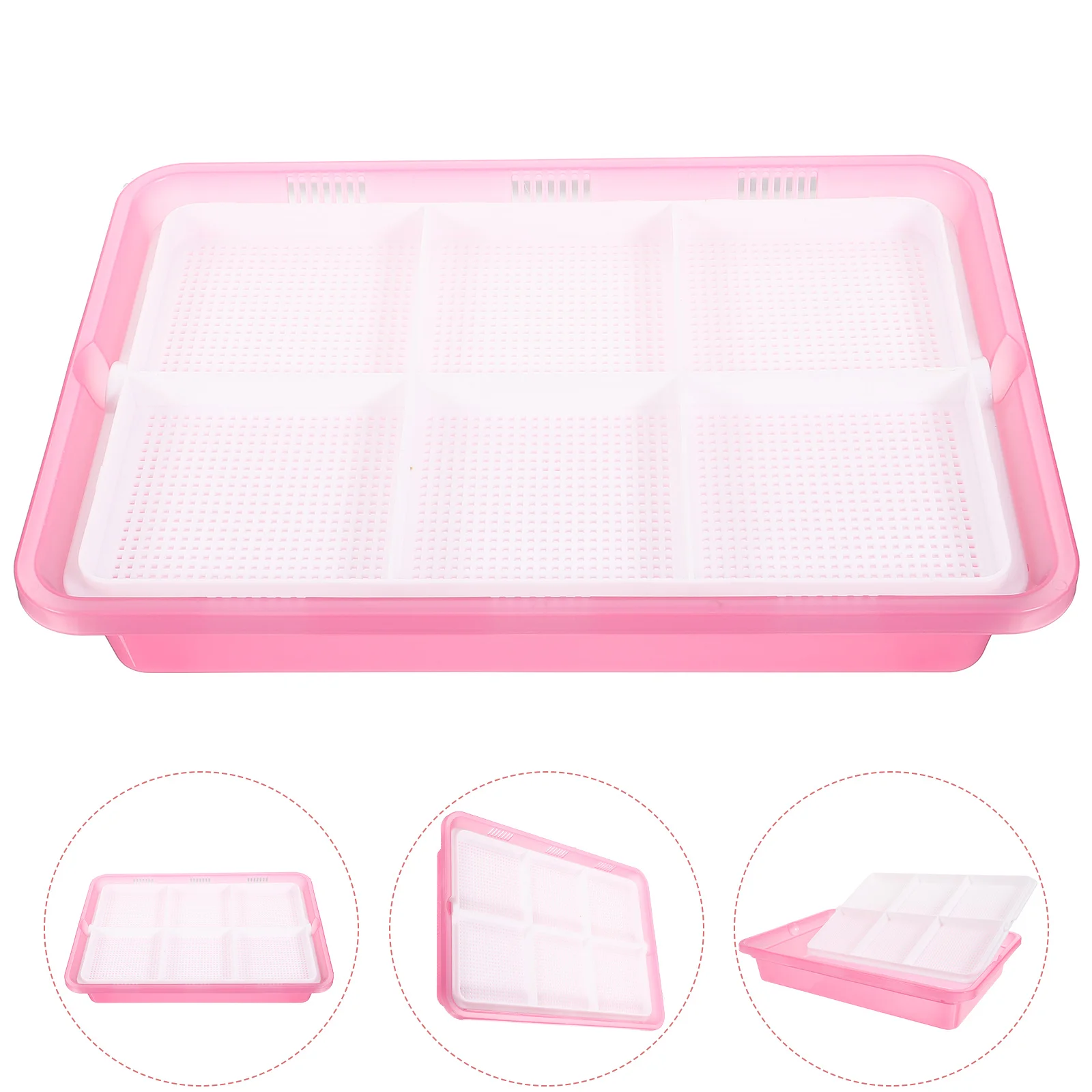 Seedling Plate Cat Grass Box Household Planter Three-grid Tray Hydroponic for Home Indoor Pot Plastic Growing
Seedling Plate Cat Grass Box Household Planter Three-grid Tray Hydroponic for Home Indoor Pot Plastic Growing
