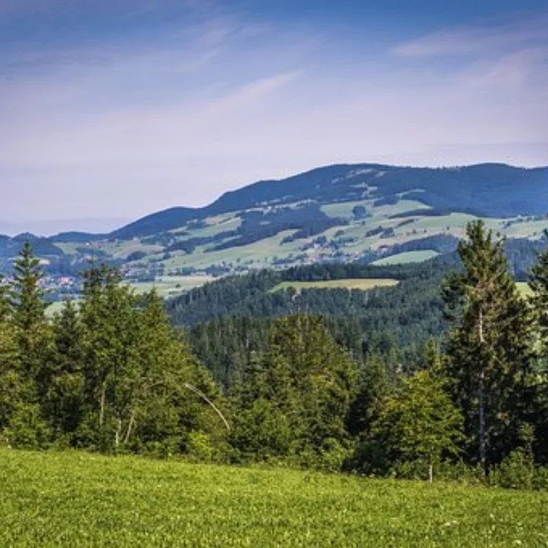 Передняя и задняя дифференциальная ось для осевого SCX10 II 90046 1/10 RC Гусеничный автомобиль, обновленные детали, аксессуары 
Передняя и задняя дифференциальная ось для осевого SCX10 II 90046 1/10 RC Гусеничный автомобиль, обновленные детали, аксессуары